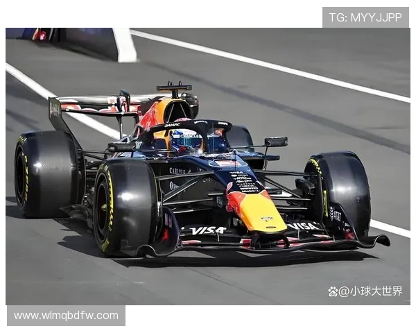 维斯蒂顶替安东内利参加F1首练